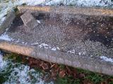 image of grave number 179136
